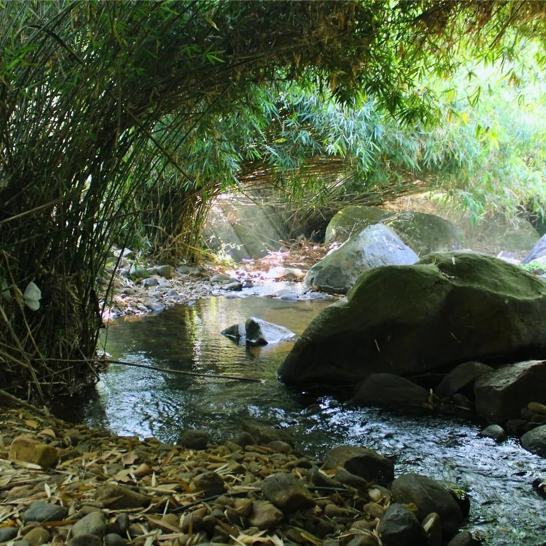 Vythiri Secret Stream Villa Indien